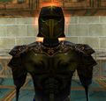 Ancient Armor (Ochre Pigmentation) Live.jpg