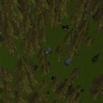 Whispering Pines Cottages Live.jpg