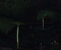 Cavernous Olthoi Chasm