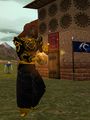 Focusing Stone Live-0.jpg