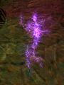 Thumbnail for version as of 12:45, 9 June 2023