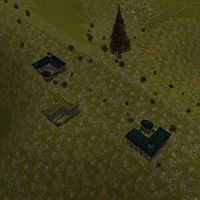 Tattered Ridge Live.jpg