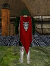 House Mhoire Cloak Live.jpg