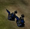 Bunny Slippers Thananim Live.jpg