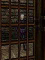 Thumbnail for version as of 12:25, 9 June 2023
