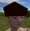 Cap (Store) Nanto Brown Live.jpg