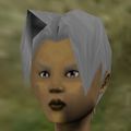 Haircut Skin 21 Texture Live.jpg
