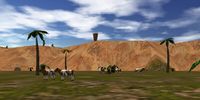4.0S, 19.0E - Samsur Watering Hole Live.jpg