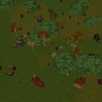 Enchanter's Meadow Live.jpg