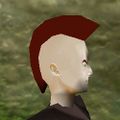 Haircut Skin 13 Live.jpg
