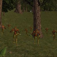 81.5S, 34.5W - Banderling Camp Live.jpg