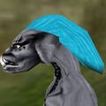 Haircut Cloak Tumerok 1 Live.jpg