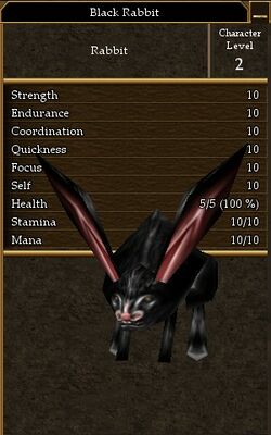 Black Rabbit.jpg