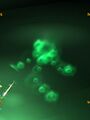 Thumbnail for version as of 12:14, 9 June 2023