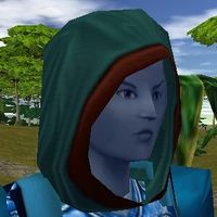 Hood Live.jpg