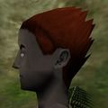 Haircut Dark 24 Texture Live.jpg