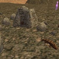 11.0N 21.1E - Armoredillo Cave Live.jpg