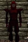 Scalemail Armor Hennacin Live.jpg