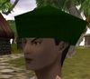 Cap (Store) Rithwic Green Live.jpg