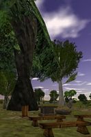 Chapel Blackspire 2 Live.jpg