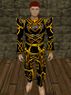 Sharded Greater Celdon Armor Live.jpg