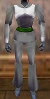 Gladiatorial Leggings Argenory Live.jpg
