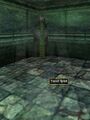 Thumbnail for version as of 13:40, 9 June 2023