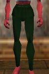 Seasoned Explorer Pants Verdalim Live.jpg