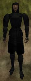 Doppelganger Robe Thananim Live.jpg