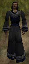 Tessera Gown Thananim Live.jpg