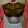 Amateur Explorer Breastplate Berimphur Live.jpg