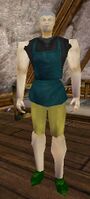 Archmage (Bandit Castle Outskirts) Live.jpg