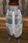 Amuli Leggings (Infiltrator Master) Argenory Live.jpg