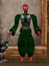 Pathwarden Robe (Gharu'ndim) Verdalim Live.jpg