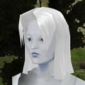 Haircut ToD 1a Texture Live.jpg