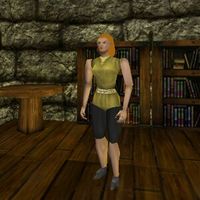 Ivory Crafter in Tower
