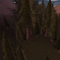 80.7S, 34.5W - Auroch Herd Live 2.jpg
