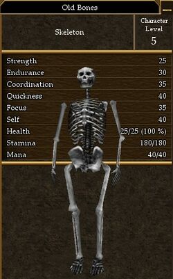Old Bones.jpg