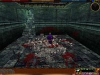 The Shard of the Herald 19 Live.jpg
