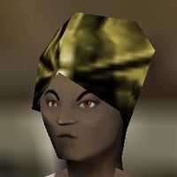 Turban Live.jpg