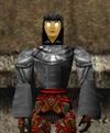 Doomshark Hide Coat Argenory Live.jpg