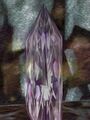 Thumbnail for version as of 13:46, 9 June 2023