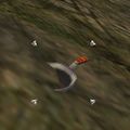 Thumbnail for version as of 13:48, 9 June 2023