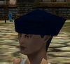 Cap (Store) Arwic Blue Live.jpg