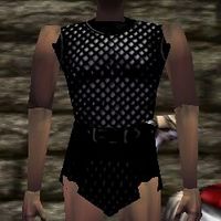 Scalemail Cuirass Live.jpg