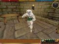 Sneak.jpg