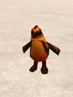 Sycophantic Penguin Live.jpg