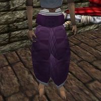 Amuli Leggings Live.jpg