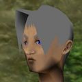 Haircut Skin 21 Live.jpg