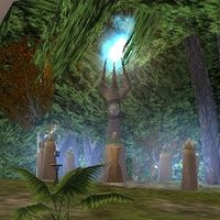 Festival Stone of Seedsow Live.jpg